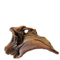 Aqua Naturals New Zealand Exotic Aquarium Wood Large 40cm