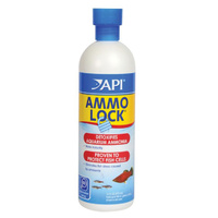 API Ammo Lock