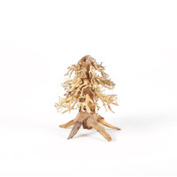 Bonsai Tree Driftwood Mini 15x12cm