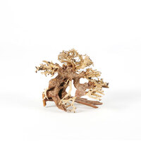 Bonsai Tree Driftwood XS 20x15cm
