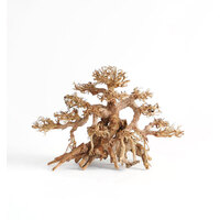Bonsai Tree Driftwood Medium 30x25cm