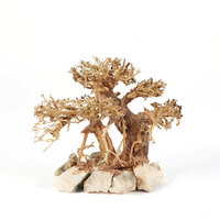 Bonsai Tree Driftwood Large 35x25cm