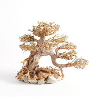 Bonsai Tree Driftwood XL 35x30cm