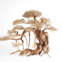 Bonsai Tree Driftwood 2XL 40x30cm