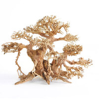 Bonsai Tree Driftwood Giant 45x30cm