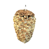 Forage Pinecone Parrot