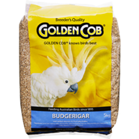 Golden Cob Budgie Mix