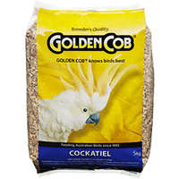 Golden Cob Cockatiel Mix