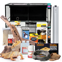 'Platinum' Bearded Dragon Setup