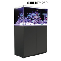 Red Sea Reefer 250 Black