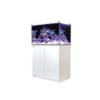 Red Sea Reefer 250 White