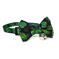 Soapy Moose Cat Collar Tropics with Bow 