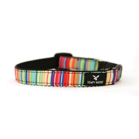 Soapy Moose Cat Collar Multi Stripe