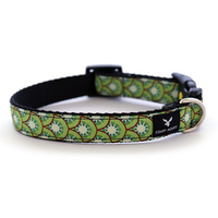 Soapy Moose Dog Collar Kiwi Fruit