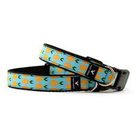 Soapy Moose Dog Collar Pineapple